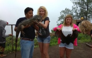 Водопад Секумпул север Бали