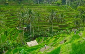 Вулкан Батур Восток Бали