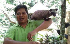 Озеро Братан Север Бали