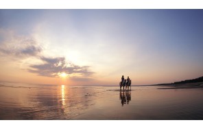 Конная прогулка