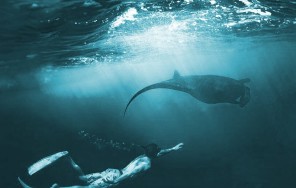 Удивительные 3 дня на острове Нуса Пенида