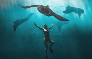 Снорклинг с мантами на острове Нуса Пенида