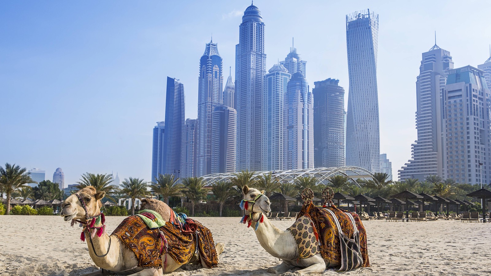 Фото экскурсии