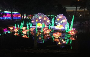 Ночной Дубай