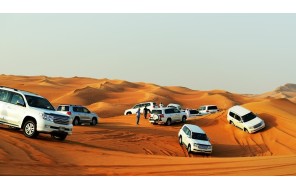 Пустынное сафари