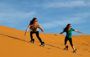 Сафари / Квадроцикл / Борд