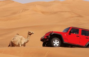 Сафари на Hummer