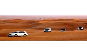 Сафари в ОАЭ