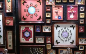 Парк Бабочек в Дубае — Dubai Butterfly Garden