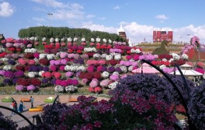 Парк Цветов — Dubai Miracle Garden