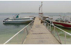 Охота на крабов