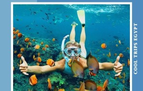 ХУРГАДА - ЗАПОВЕДНИК ШАРМ ЭЛЬ НАГА