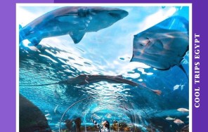 ХУРГАДА - ПОСЕЩЕНИЕ ГРАНД АКВАРИУМА