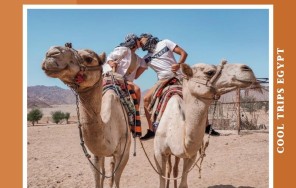 ХУРГАДА - СЕМЕЙНОЕ САФАРИ (УТРО/ ПОСЛЕ ОБЕДА)