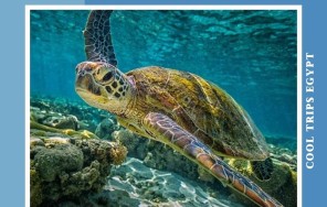 ХУРГАДА - ПОЕЗДКА В АБУ ДАБАБ