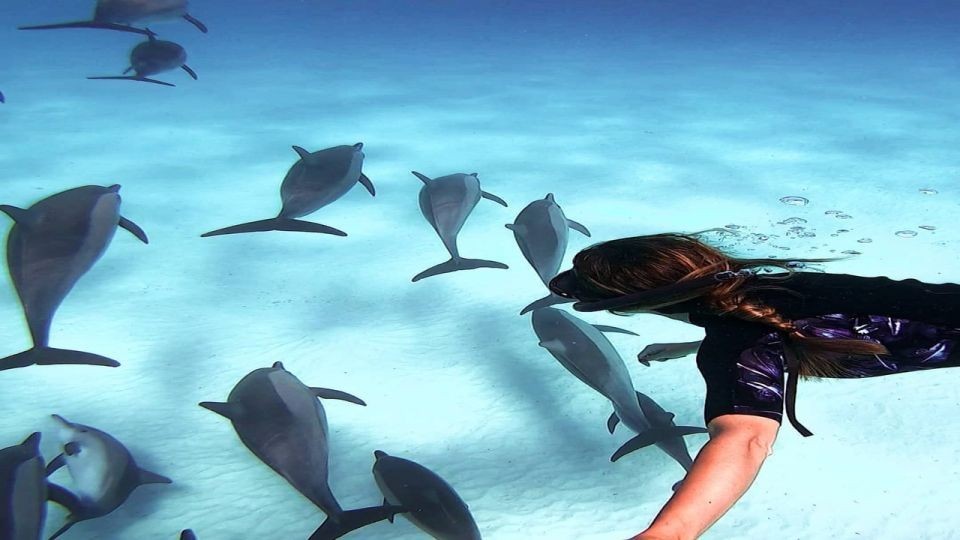 Фото экскурсии