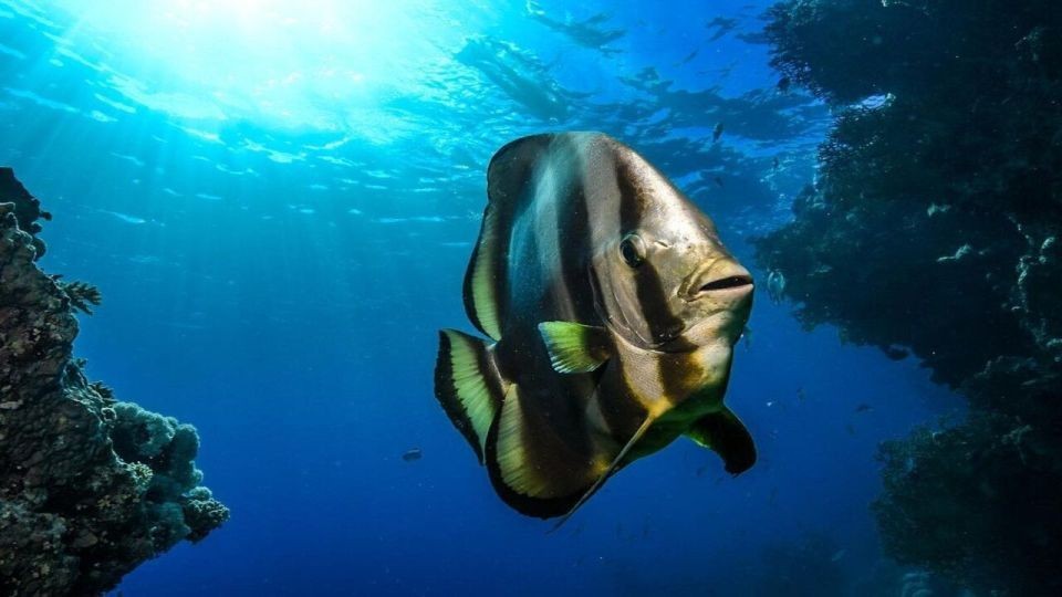 Фото экскурсии