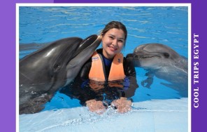 ХУРГАДА  - ДЕЛЬФИНАРИЙ - ФОТОСЕССИЯ С ДЕЛЬФИНАМИ