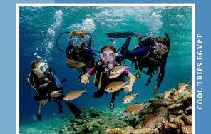 ХУРГАДА - ДАЙВИНГ И ПОСЕЩЕНИЕ ОСТРОВА