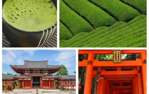 На окраинах Киото. Удзи - знаменитый чайный район Японии.