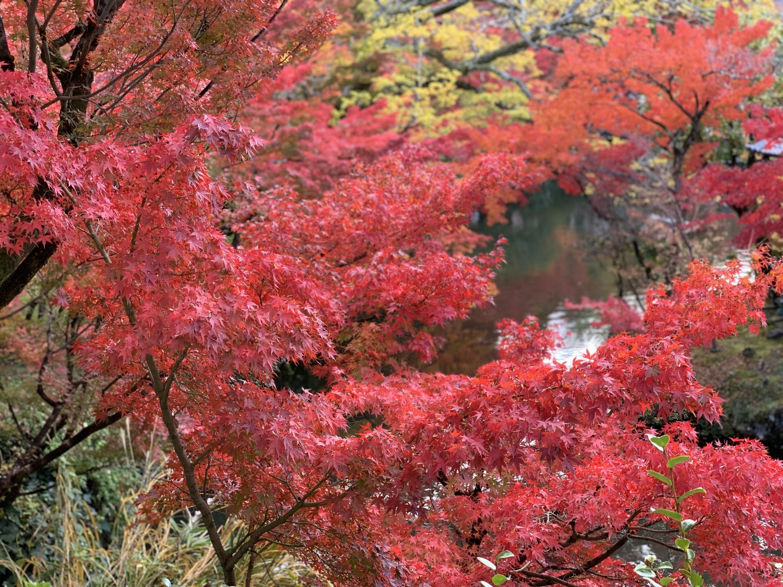 Фото экскурсии