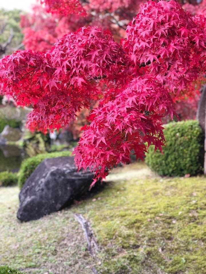 Фото экскурсии