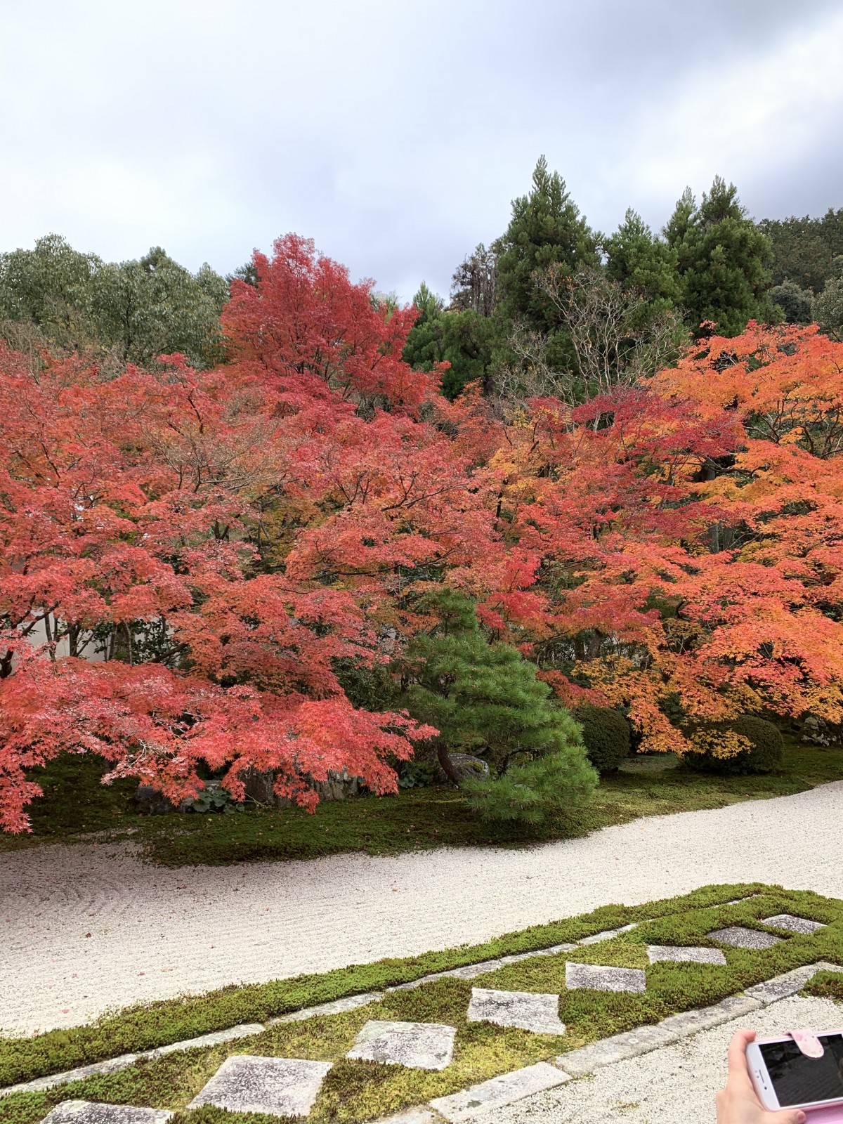 Фото экскурсии