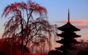 Прекрасное рядом. Обзорная экскурсия