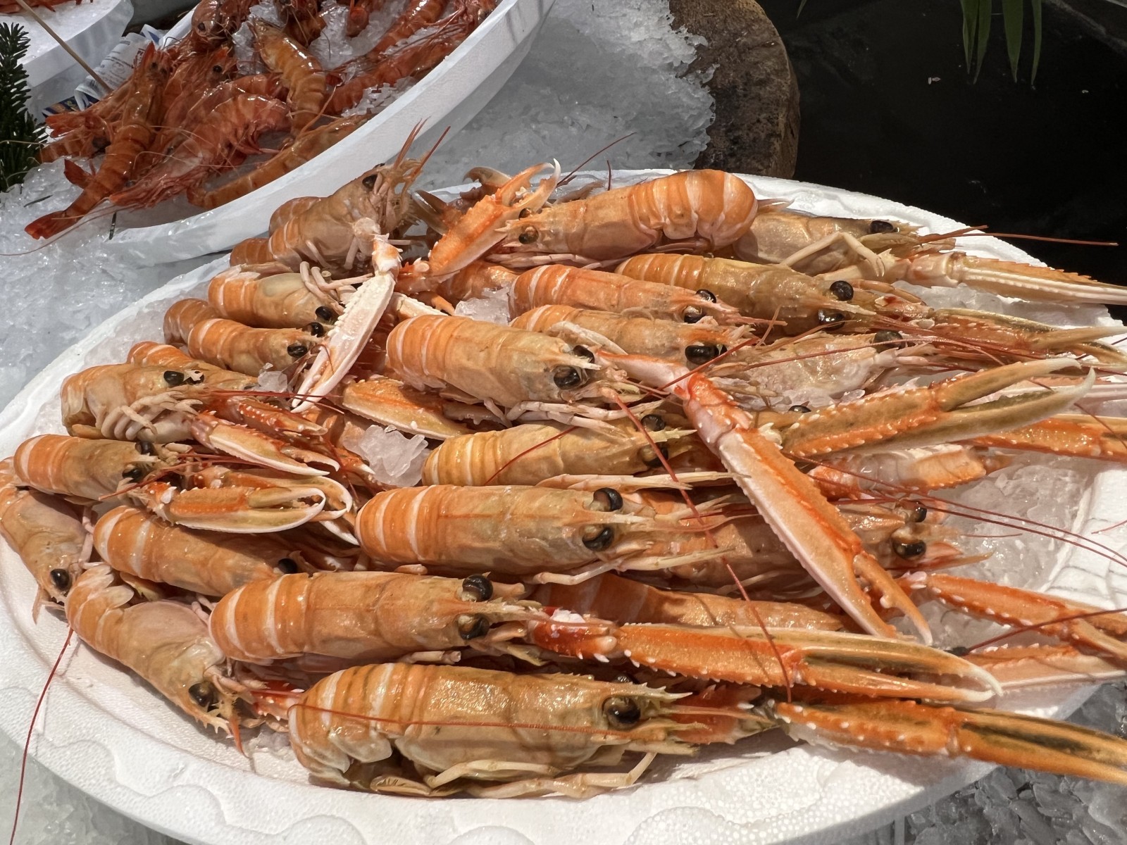 Фото экскурсии