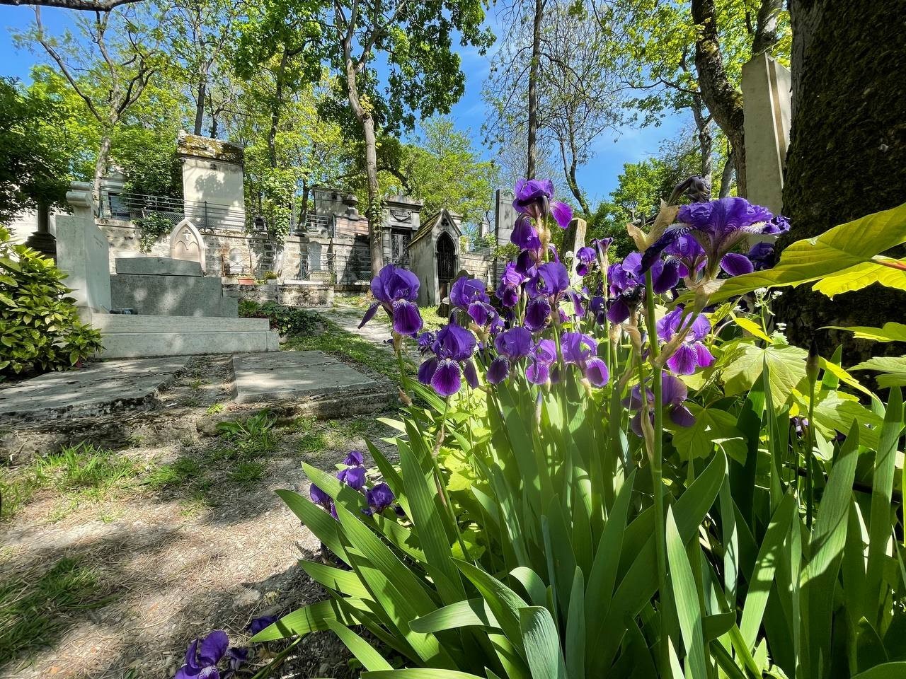 Фото экскурсии