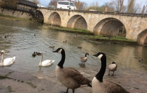 Городок Море Сюр Луэн. Настоящая провинциальная Франция рядом с Парижем