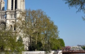 Остров Сите и Латинский квартал