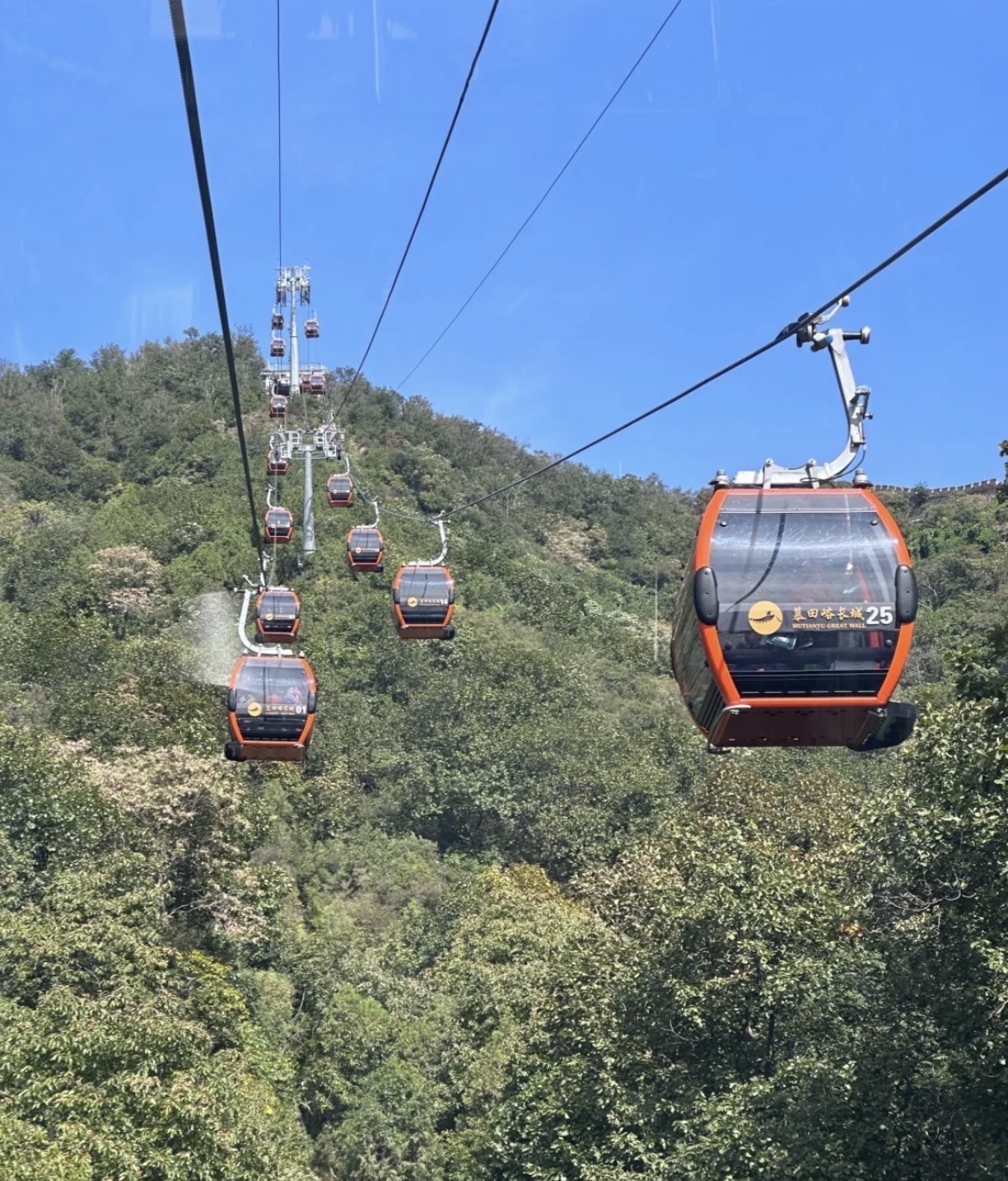 Фото экскурсии