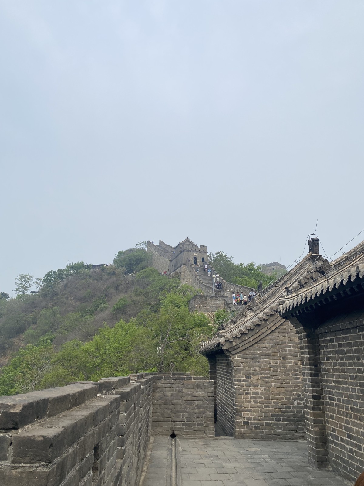 Фото экскурсии