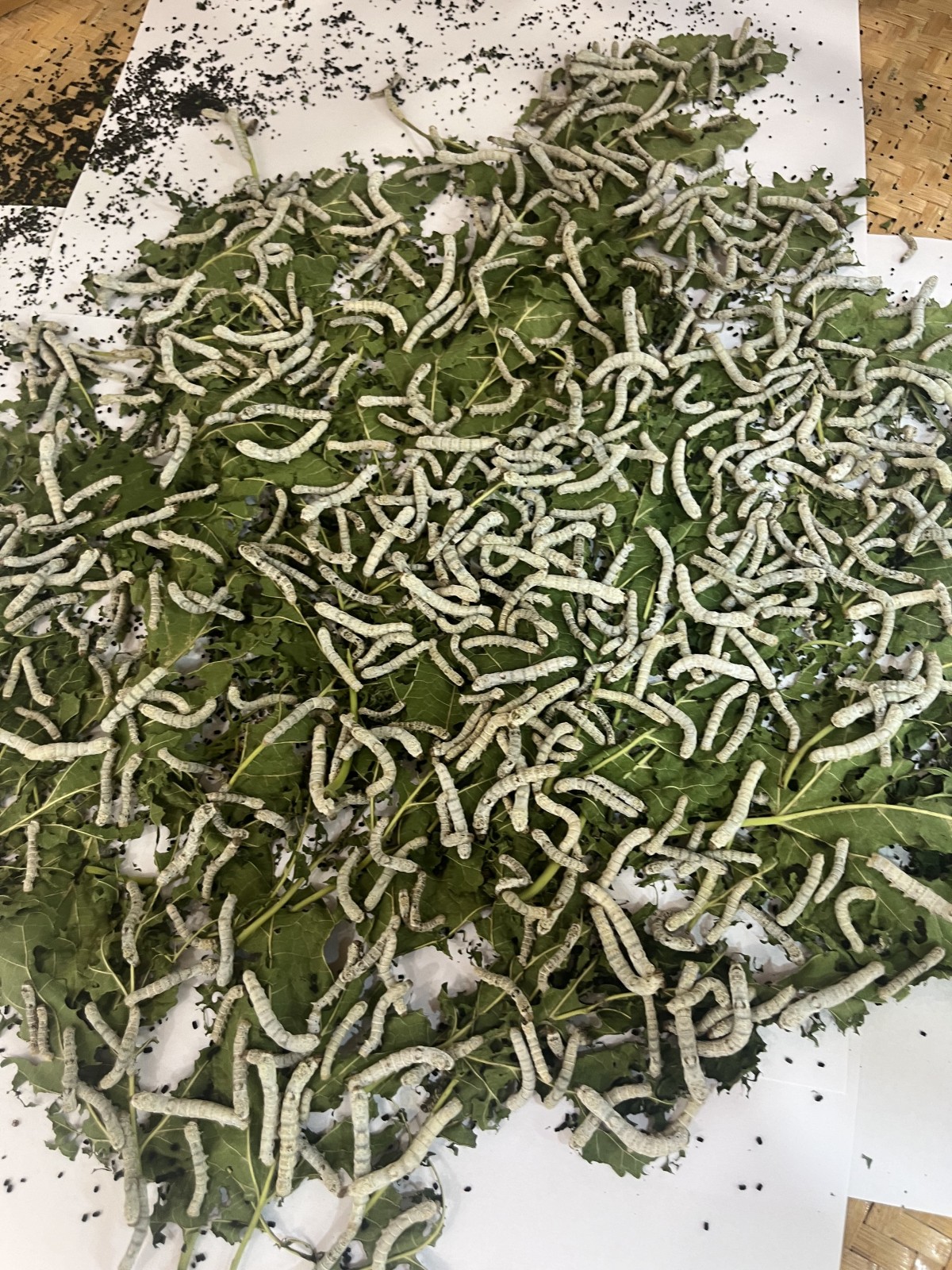 Фото экскурсии