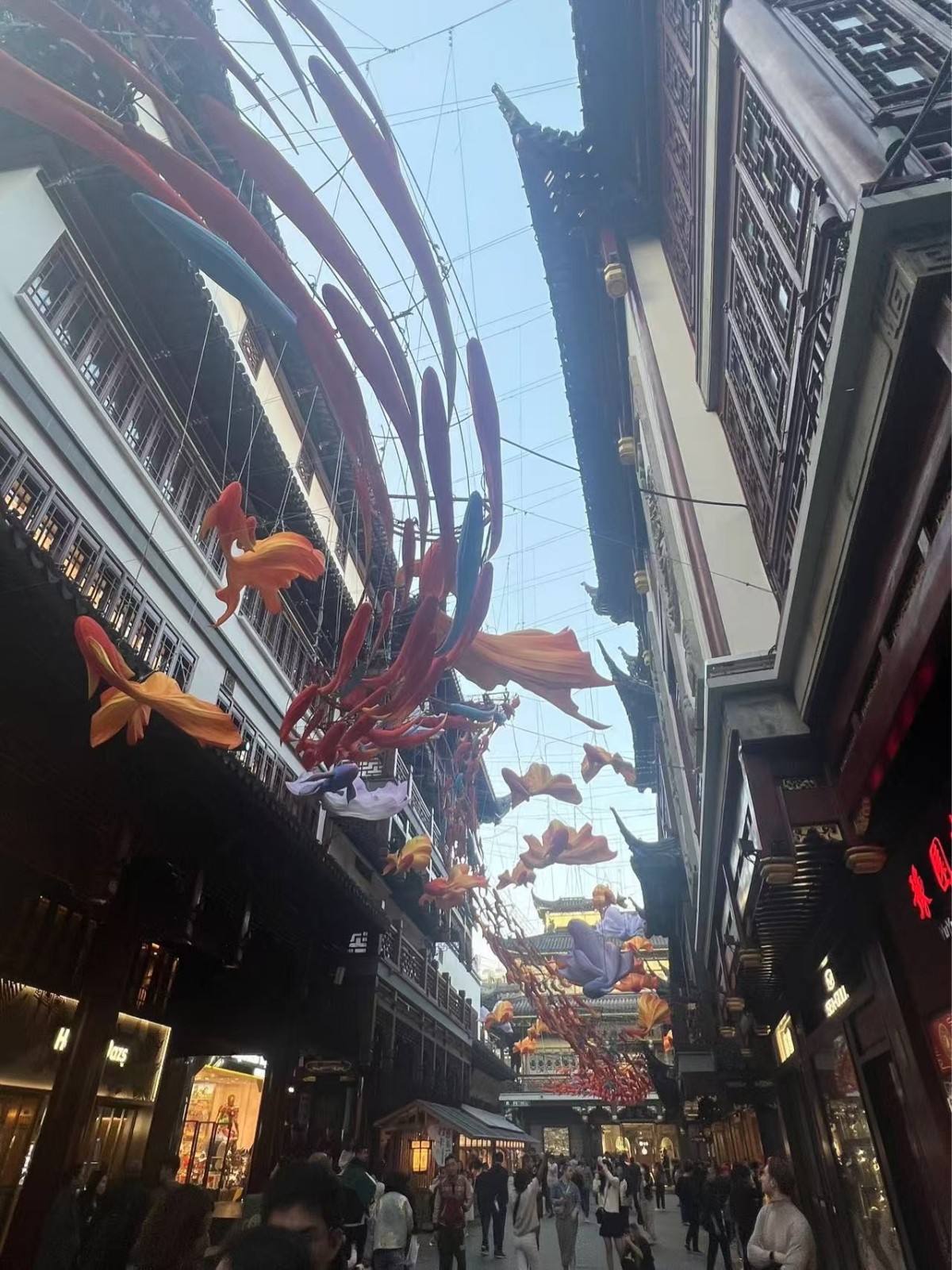 Фото экскурсии