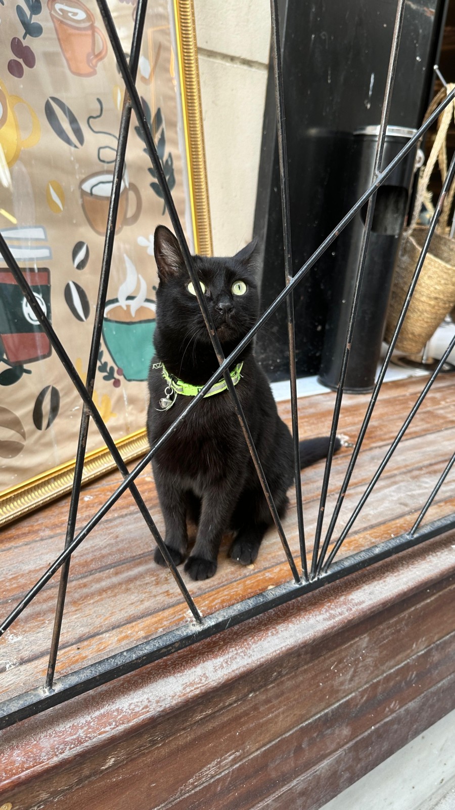 Фото экскурсии