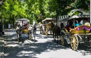Принцевых острова и Кадыкёй