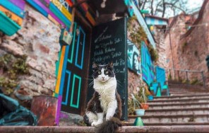 Фотогеничный Стамбул