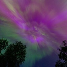 Мурман Алексей