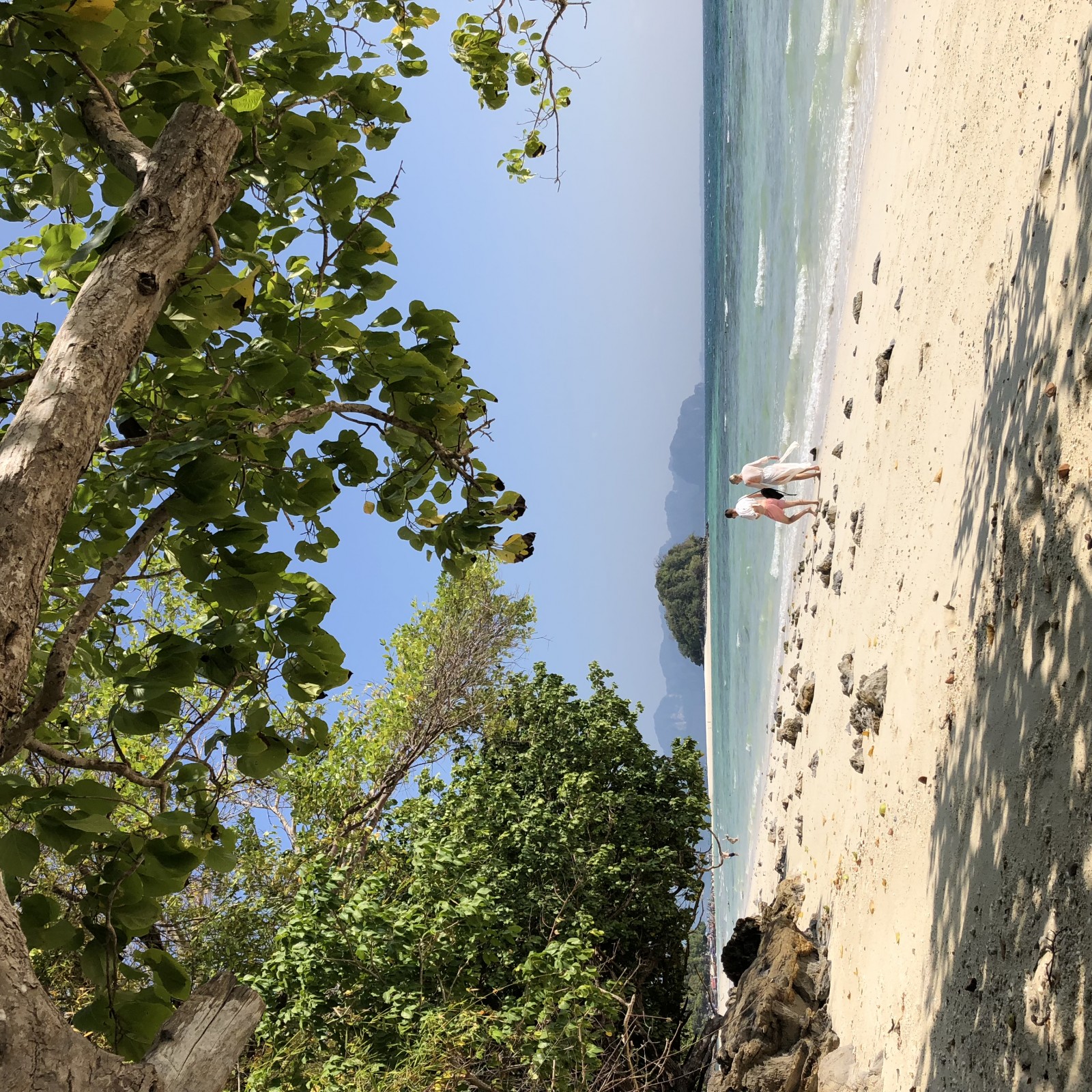 Фото экскурсии