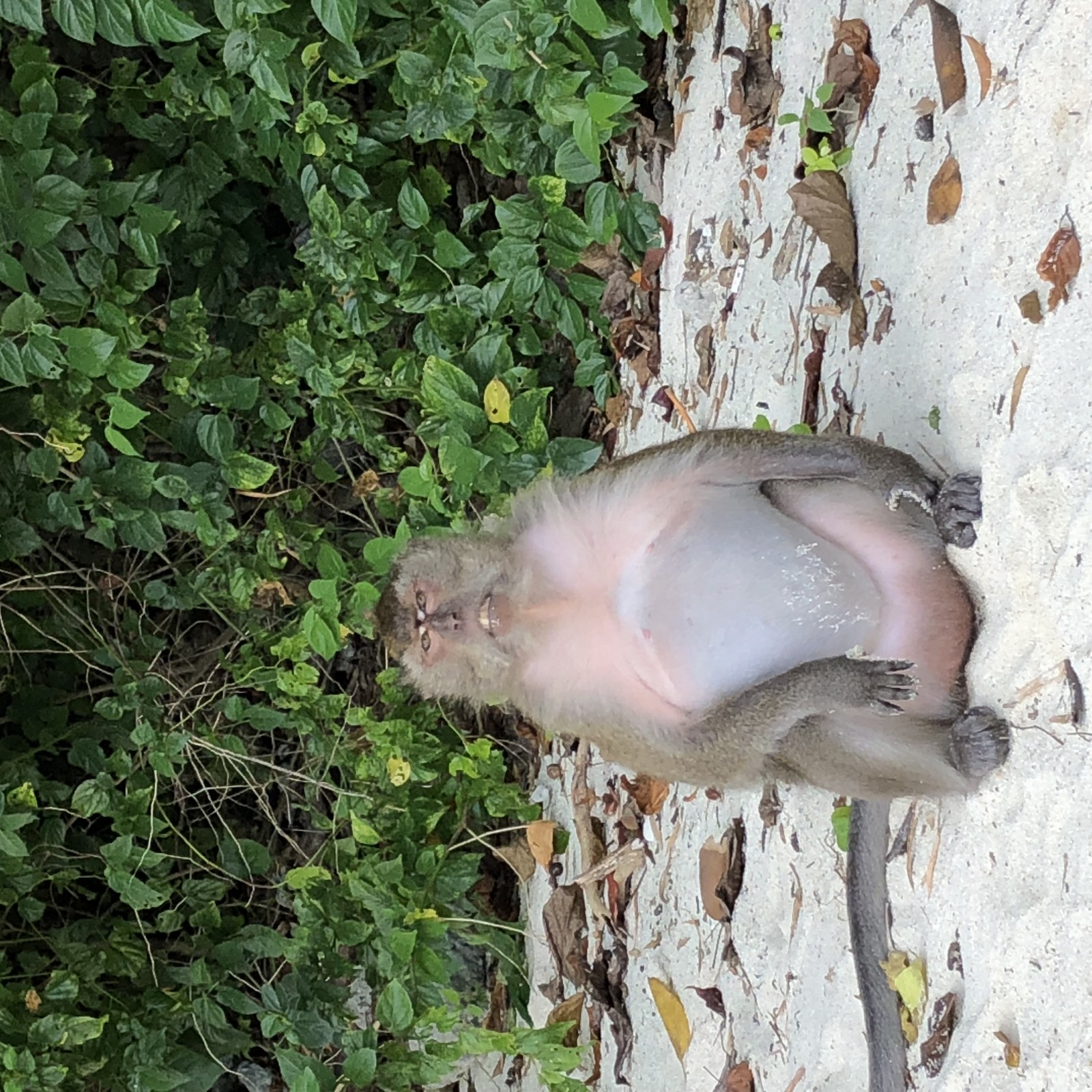 Фото экскурсии