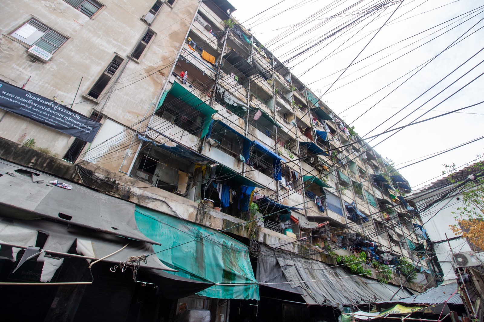 Фото экскурсии