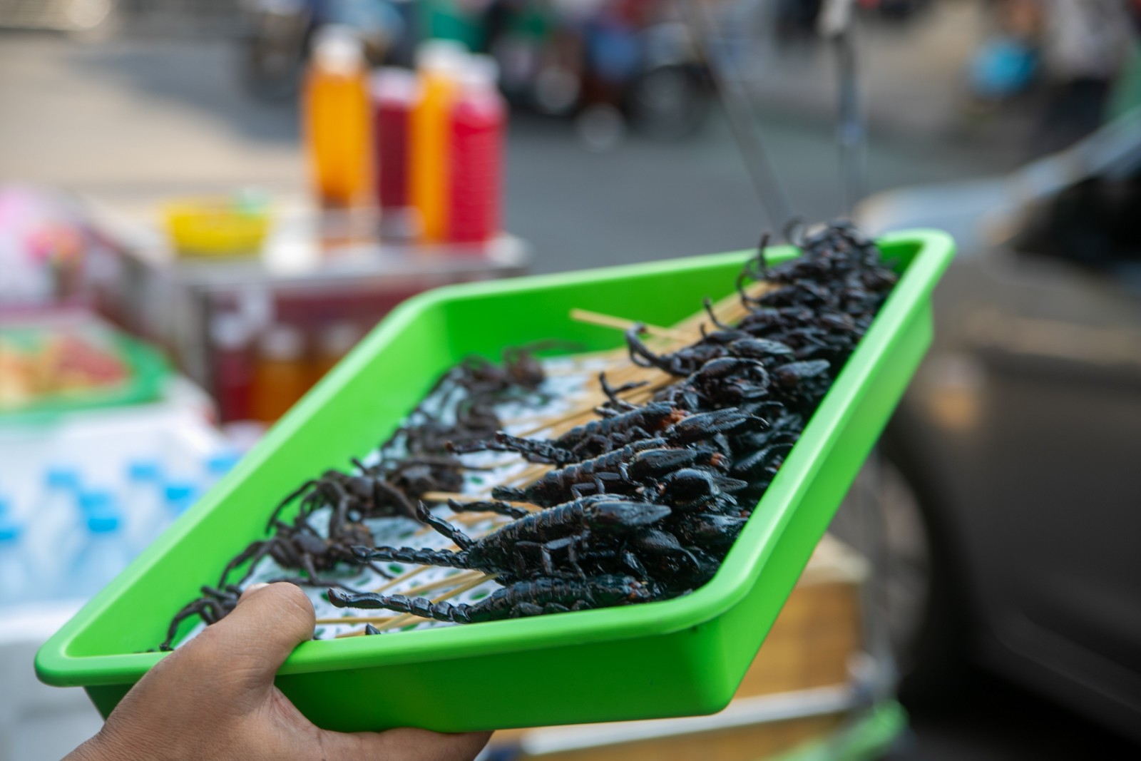 Фото экскурсии