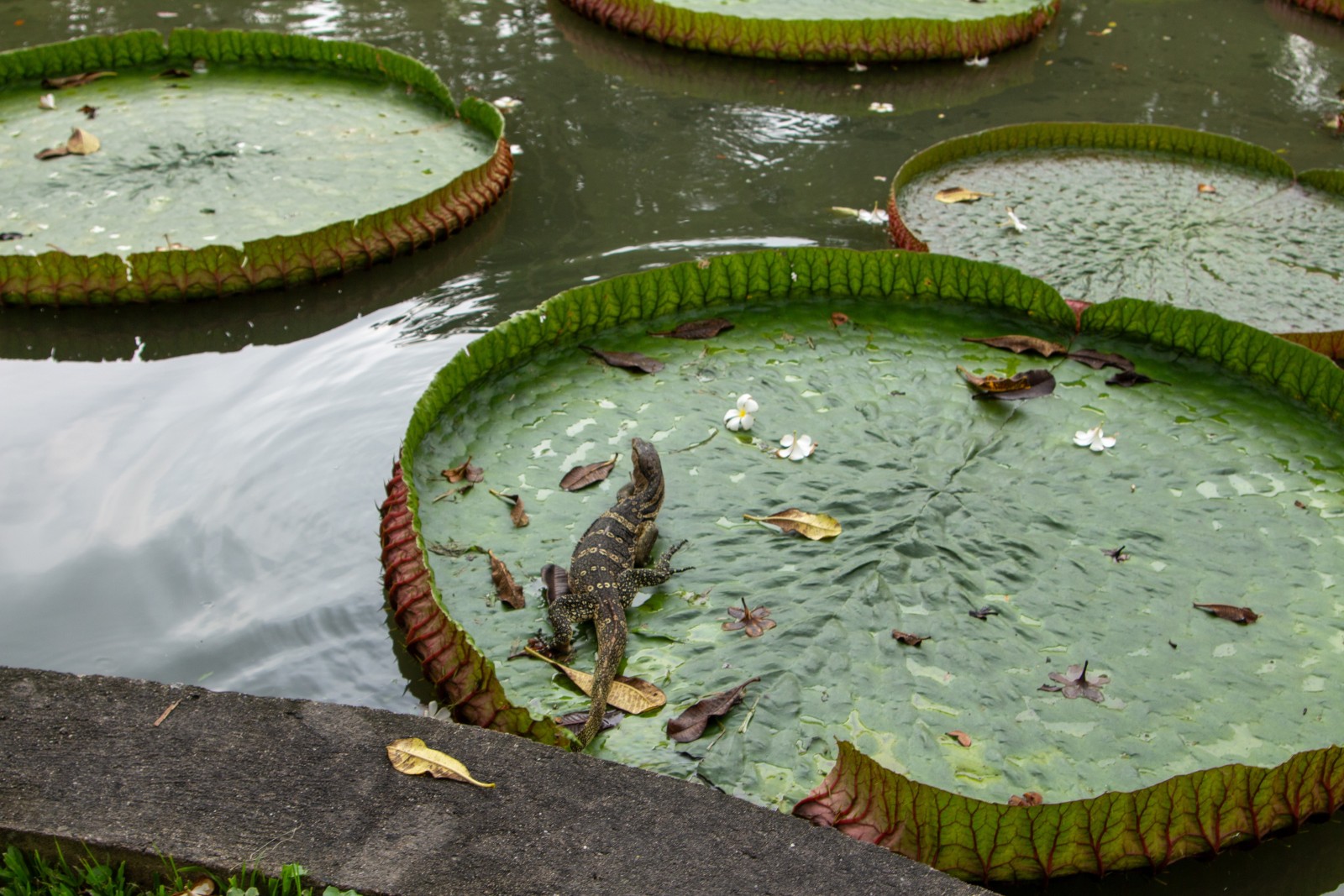 Фото экскурсии