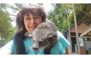 Зоопарк Khao Kheow + Moo Baan Chon Pao + Традиционный тайский парк