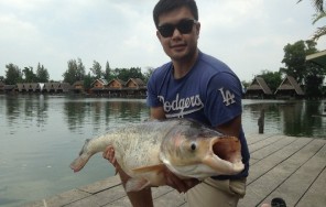 Настоящая рыбалка больших рыб в Таиланде