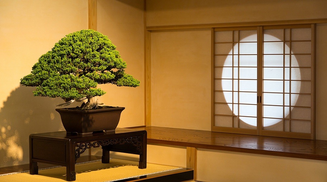 Фото экскурсии