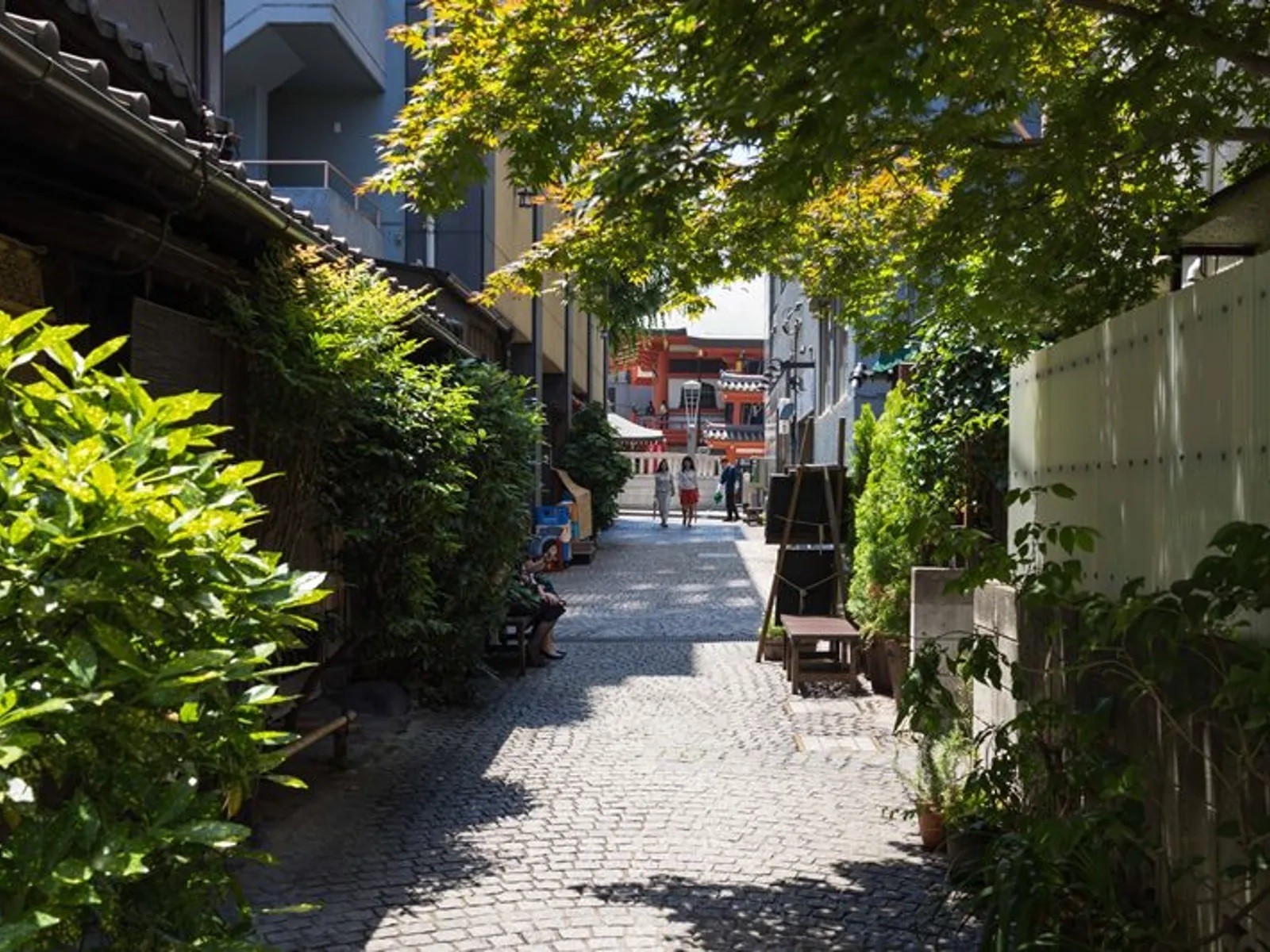 Фото экскурсии