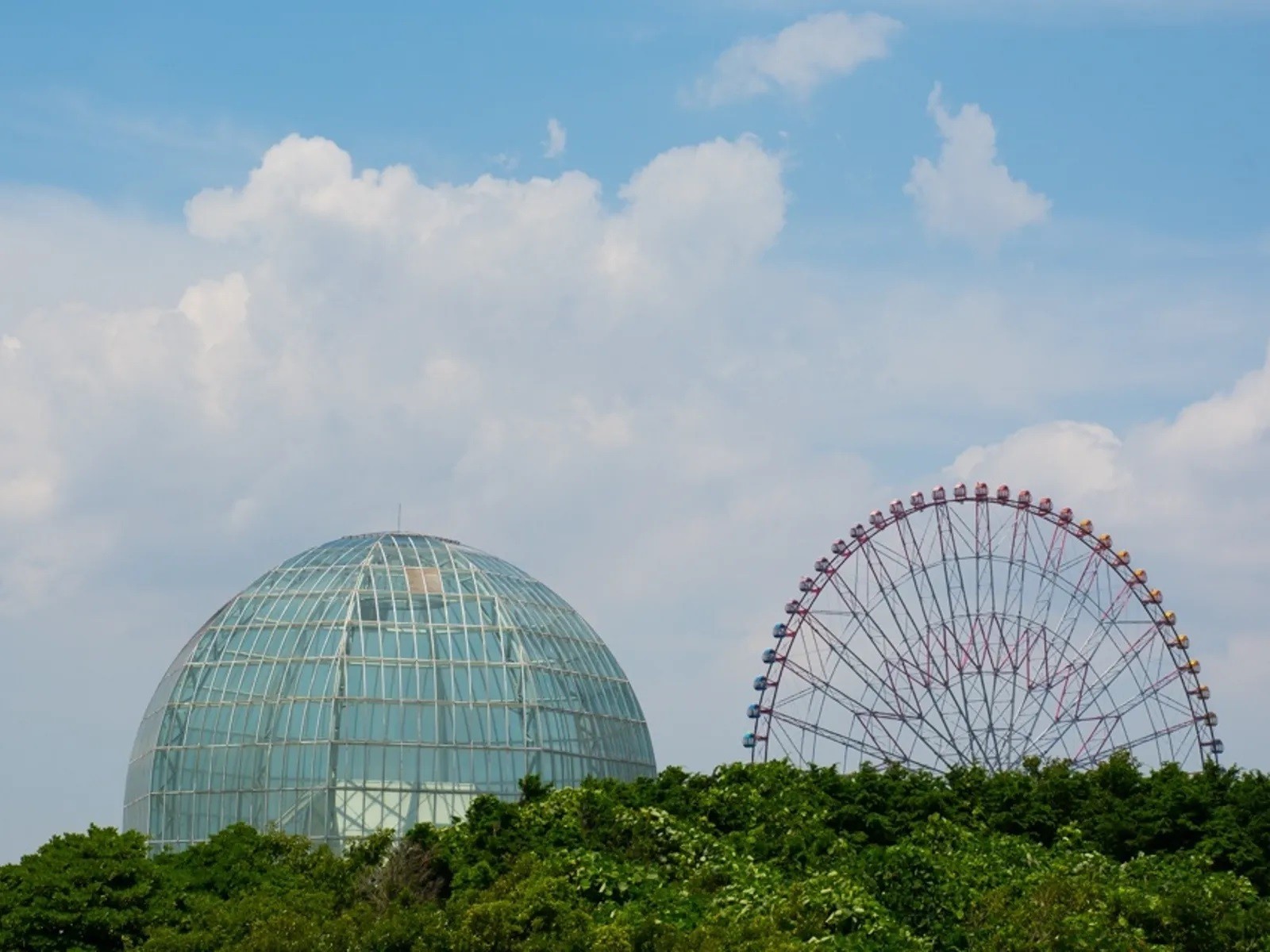 Фото экскурсии